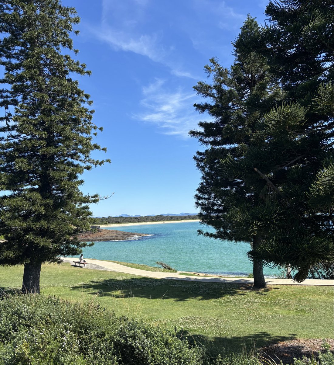 Kylie Riordan tweet media