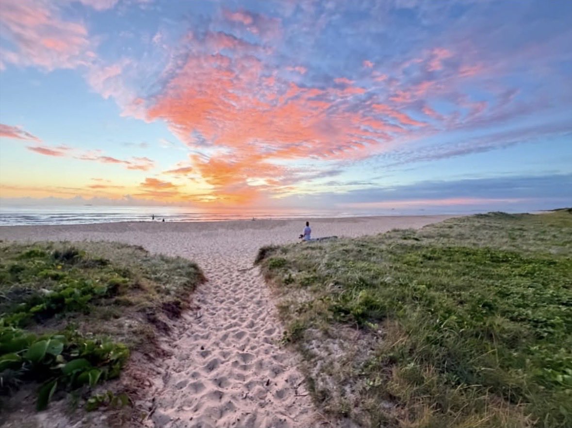 Kylie Riordan tweet media