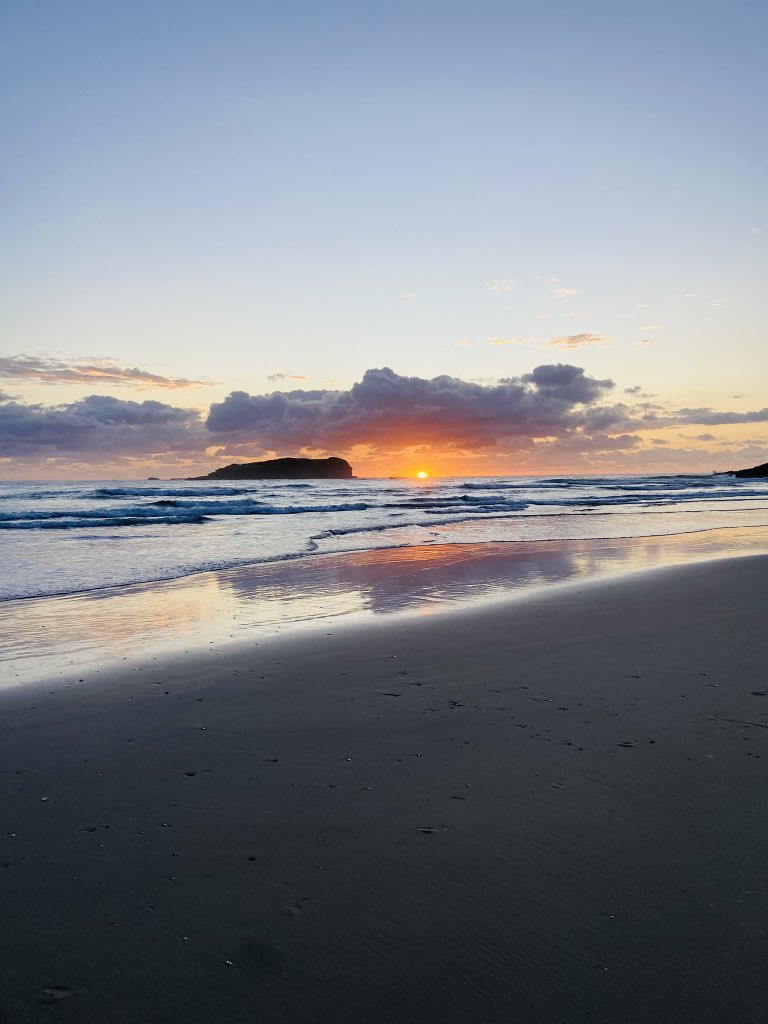 Kylie Riordan tweet media