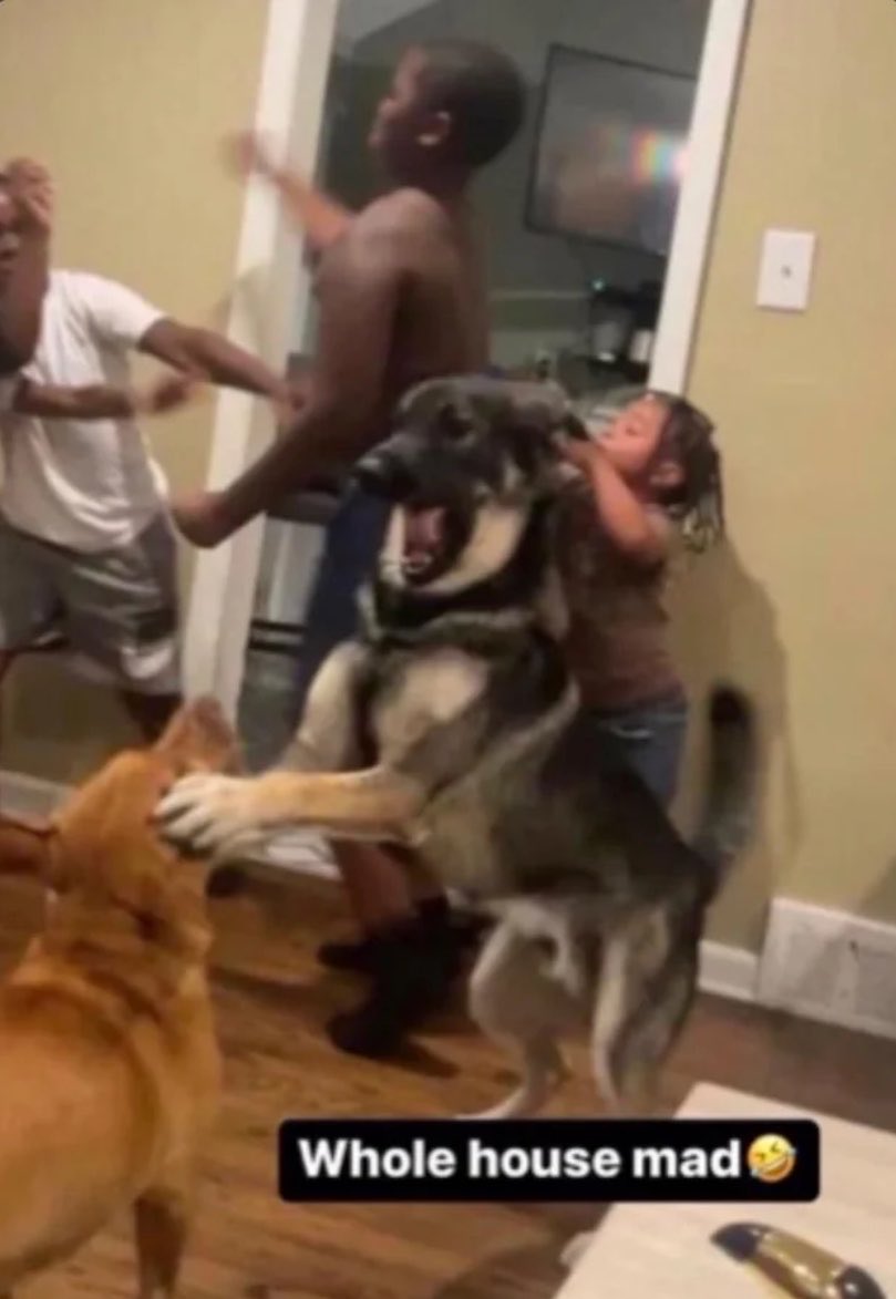 This whole KFC vs Zabka conflict is so funny