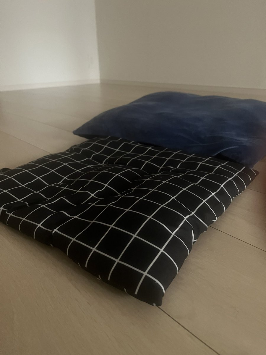 5代目蒼鯉@おはスタアンチキッズ tweet media