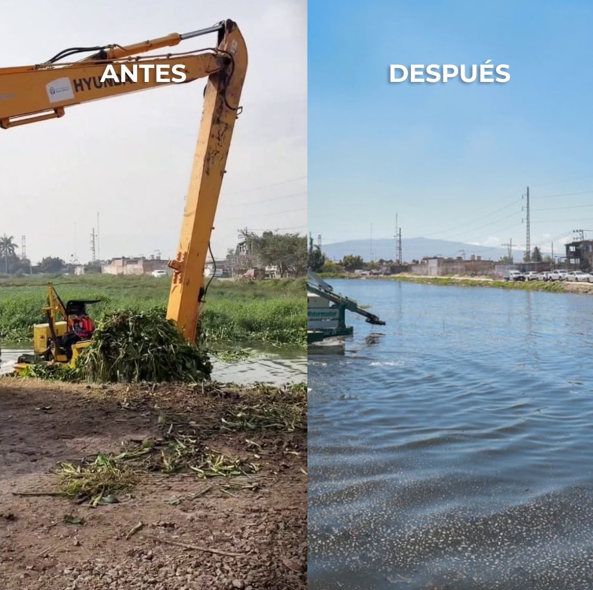 Pablo Lemus Navarro tweet media