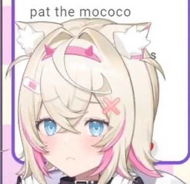 Kiyoomi 🩵🐾🩷 tweet media