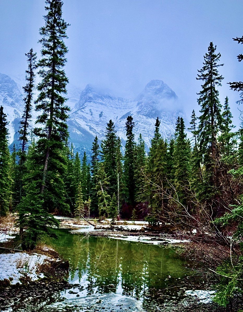 Christina McKinley 🇨🇦 tweet media