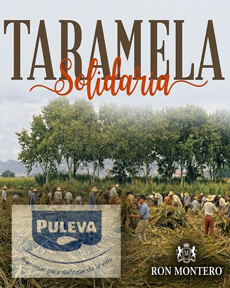 Banco Alimentos Granada tweet media