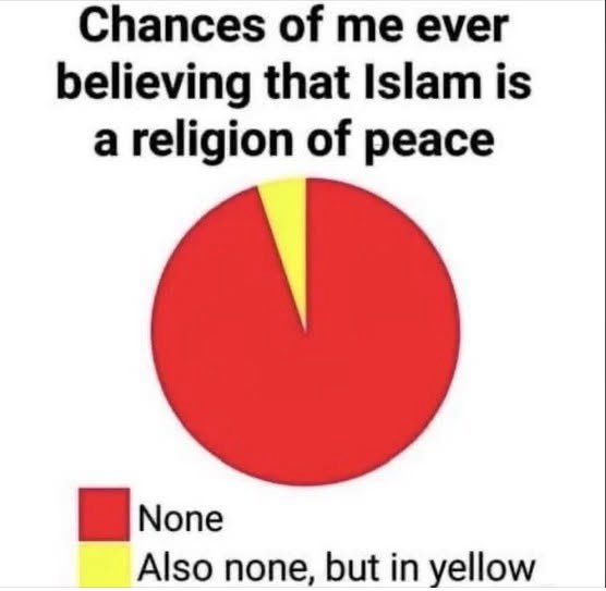 DaBoogster tweet media