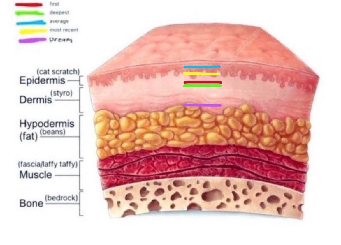 finsen of shtwt tweet media