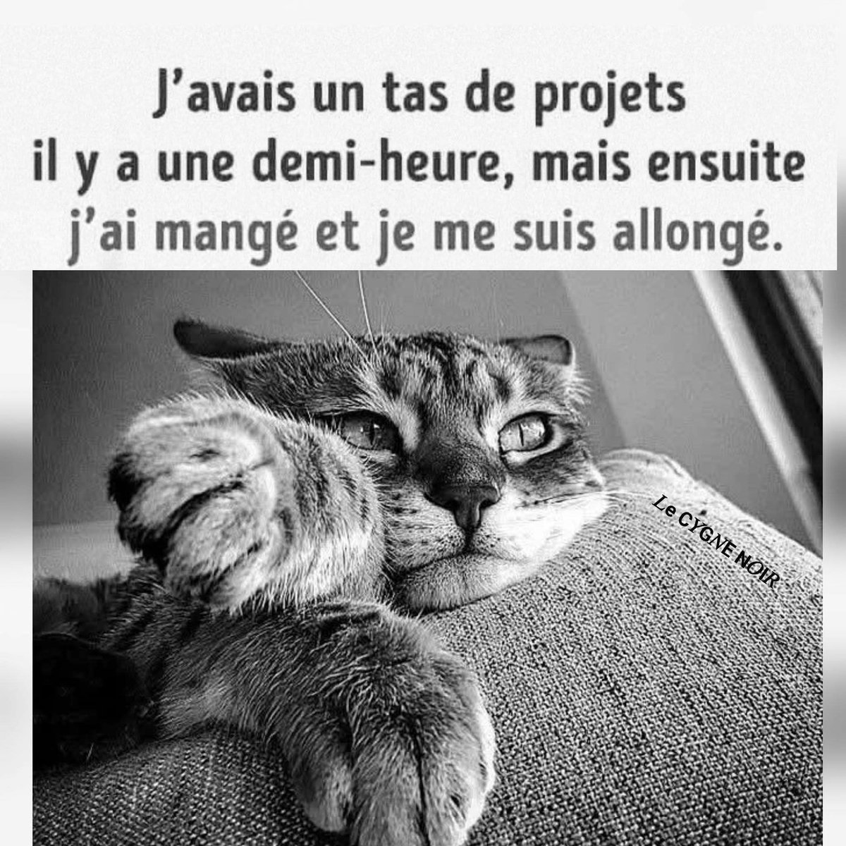 Claude Lada tweet media