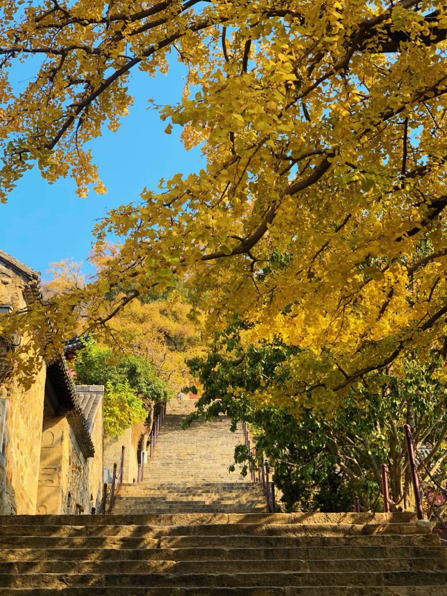 MademoiselleRebelle tweet media