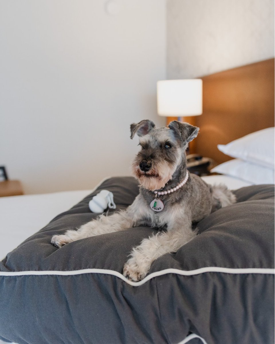 Sheraton Vancouver Airport tweet media