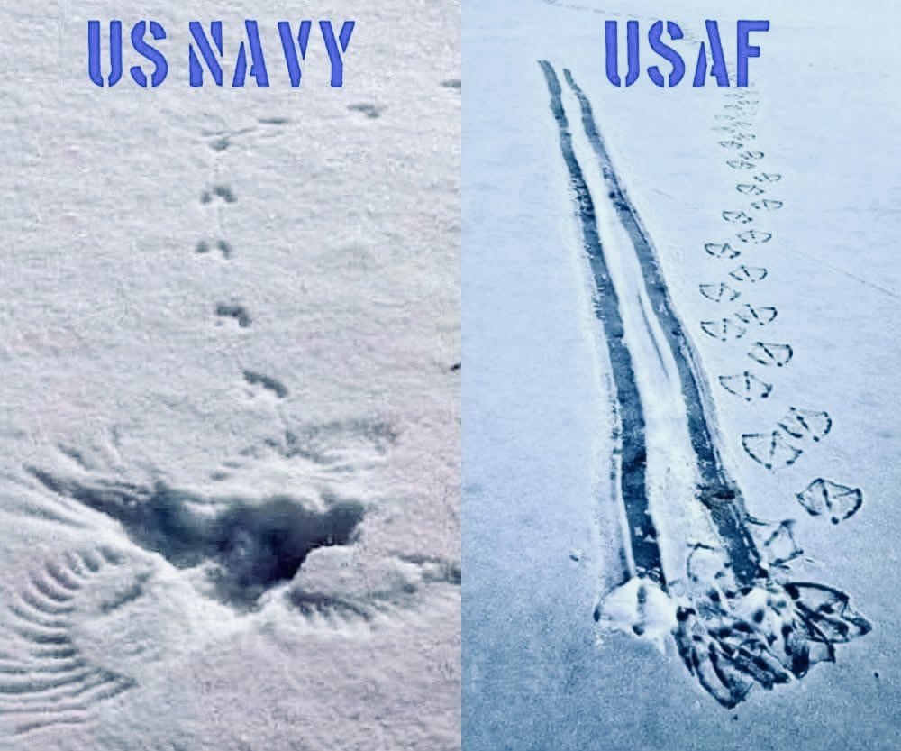 Virginie Sigonney 🇫🇷 tweet media