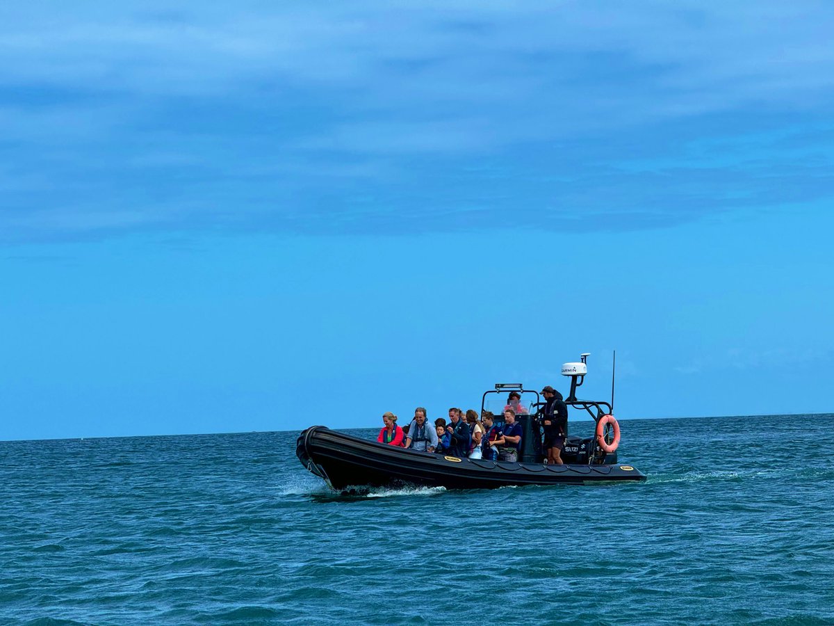 Jocaccia tweet media