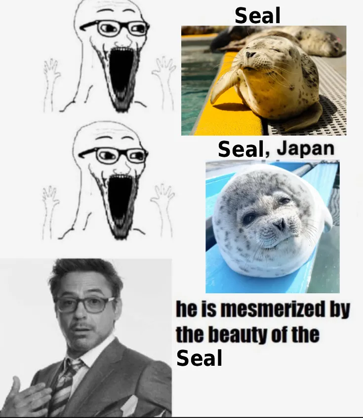 bern 🧃🦭 tweet media