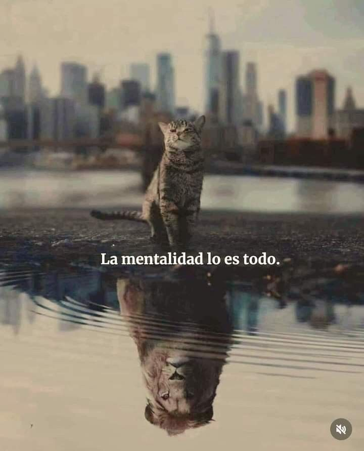 Mind Climb 👽 tweet media