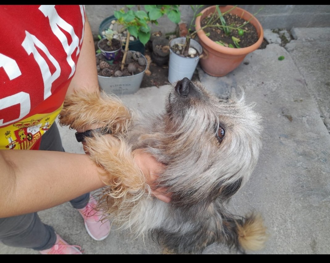 Lyss 🇸🇻 tweet media