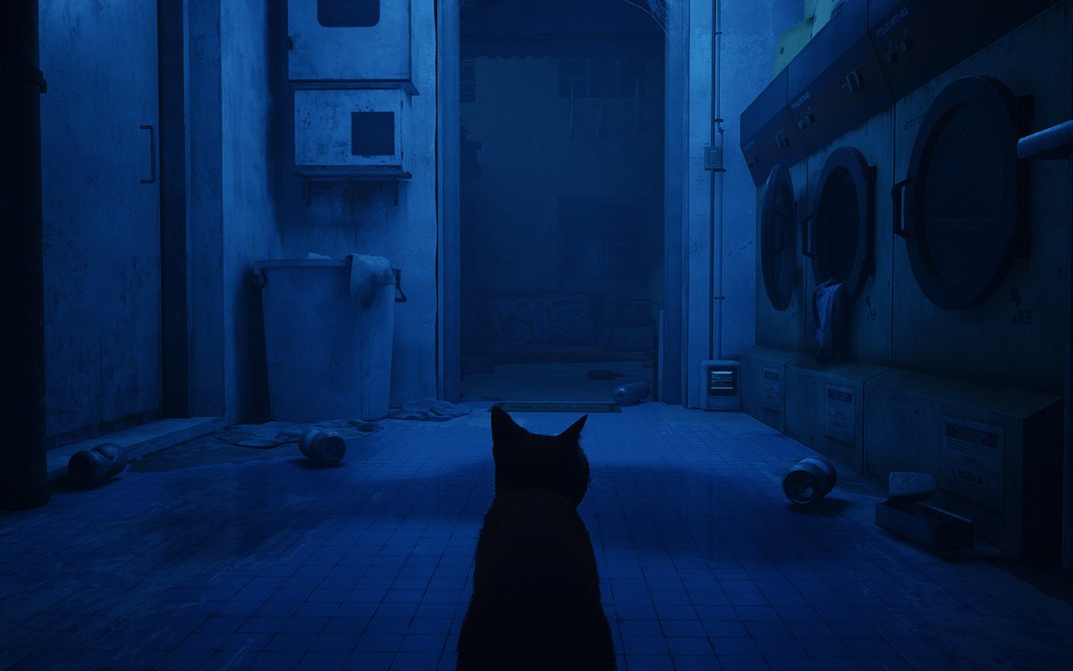 😶🌫️ tweet media