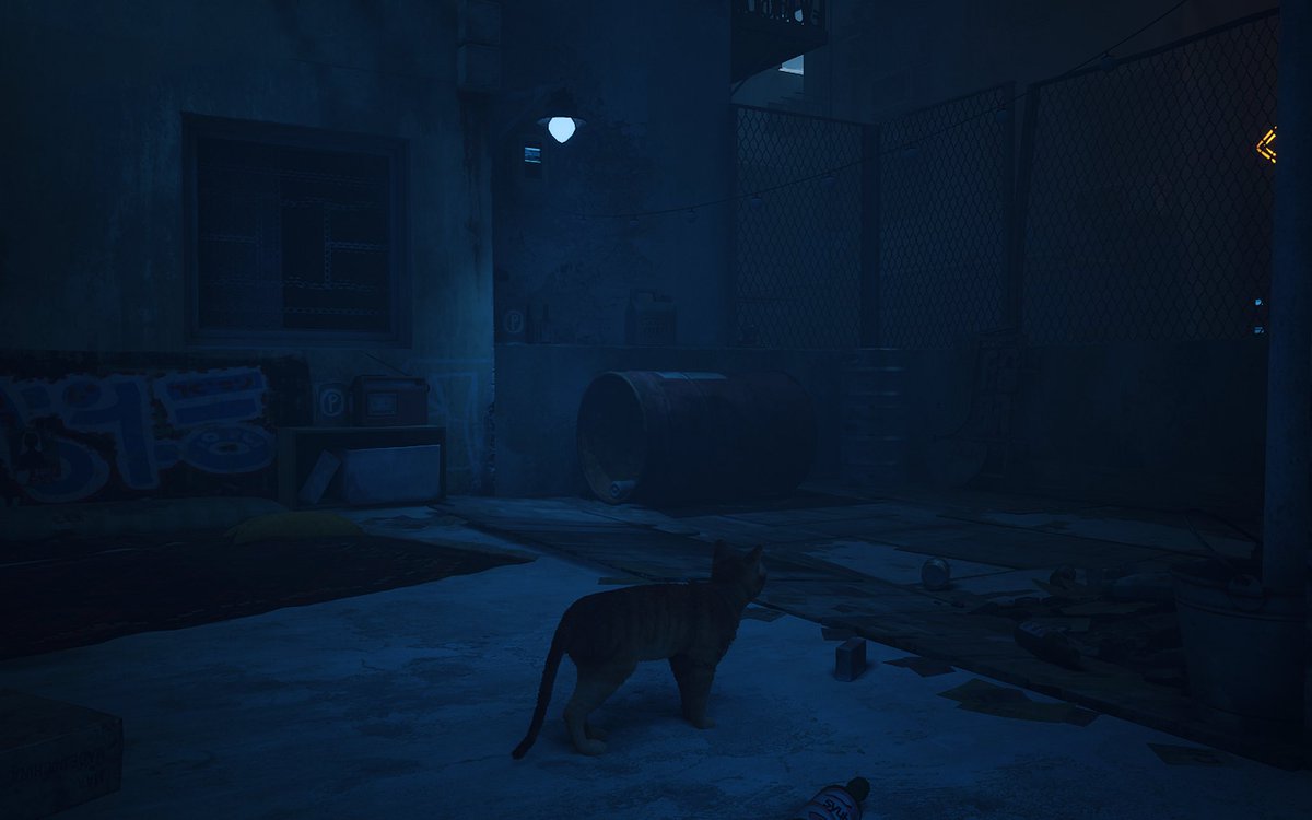 😶🌫️ tweet media