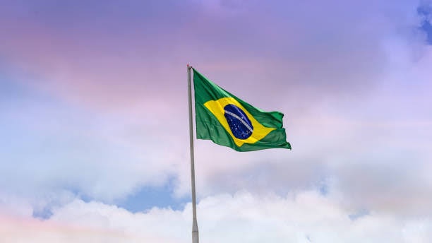 Türkiye Haber Ajansı (THA) tweet media