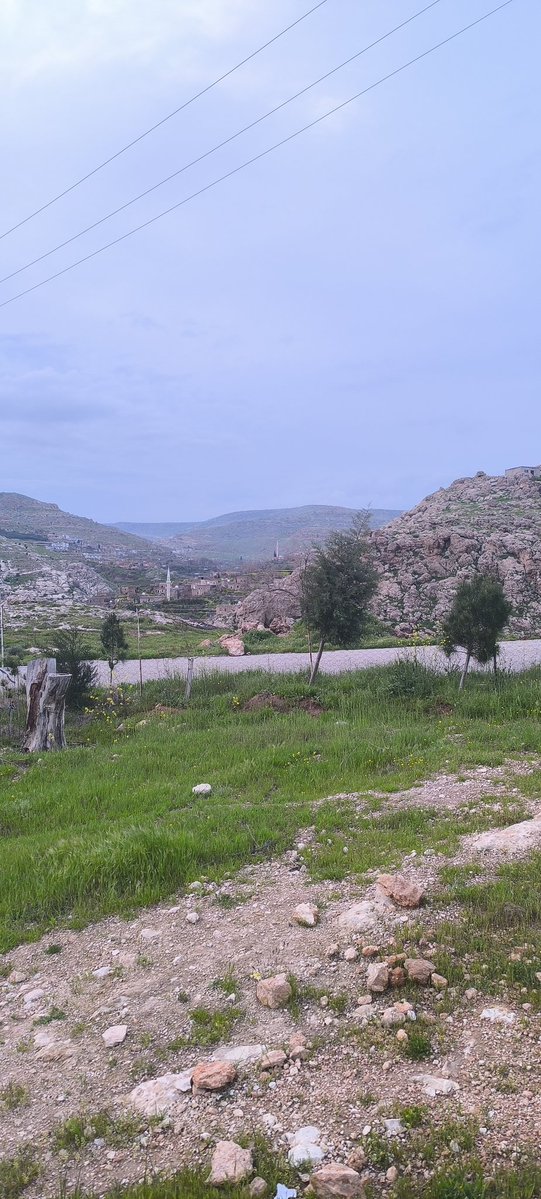 محمد امین tweet media