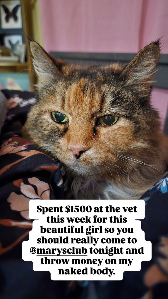 AngieMarieDreams tweet media