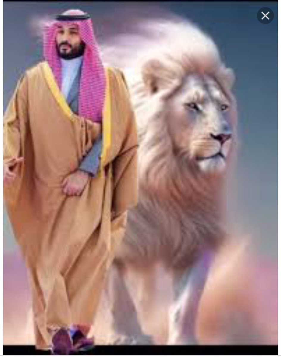 سعـود الـغامـدي🇸🇦 tweet media
