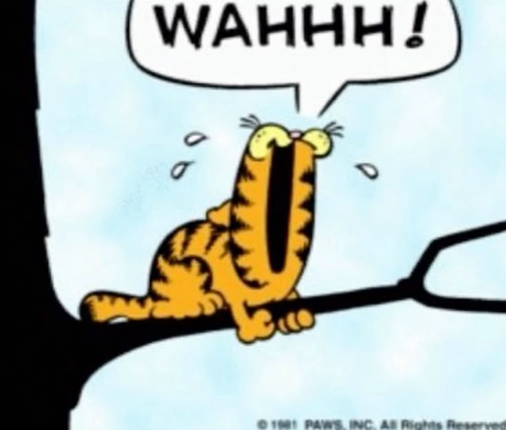 Zaching it tweet media