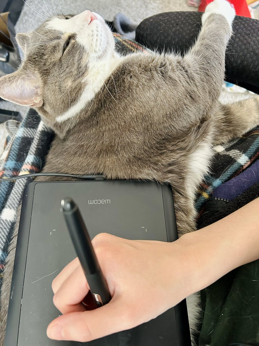 TemTravel tweet media