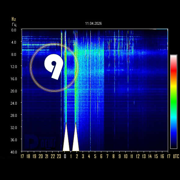 𝔻𝕚𝕤𝕔𝕝𝕠𝕤𝕦𝕣𝕖 ℕ𝕖𝕨𝕤 🔅 tweet media