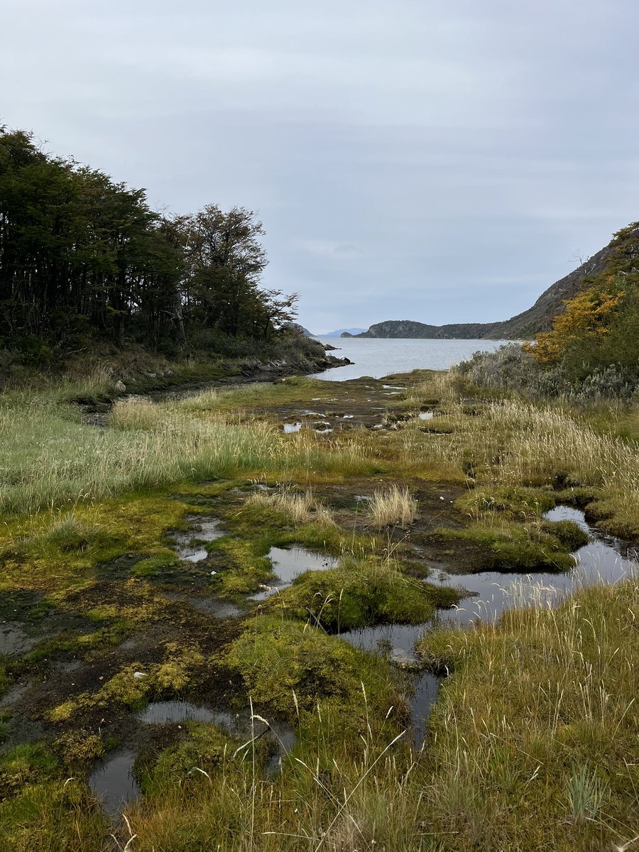 Jazmín del Monte tweet media