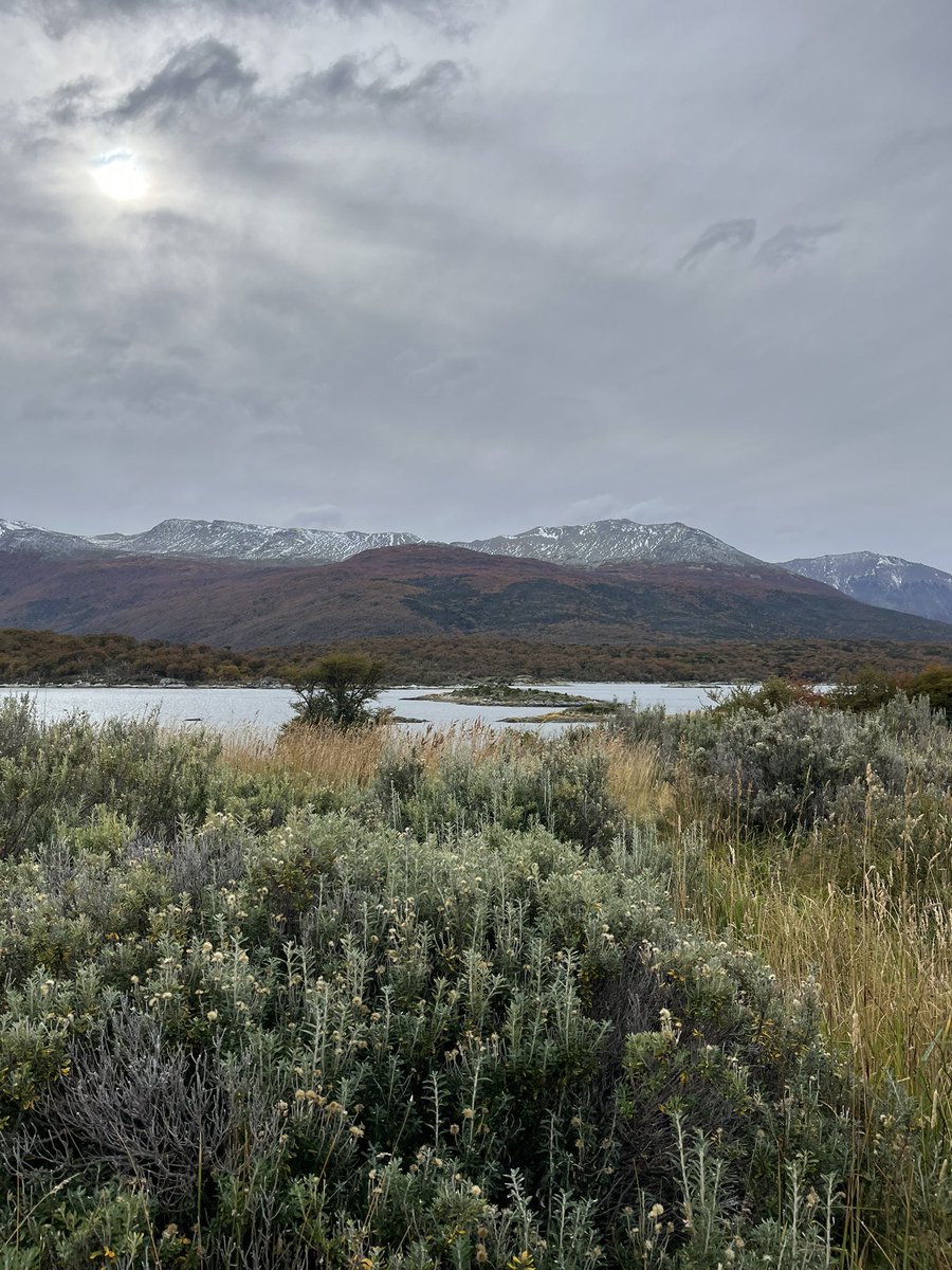 Jazmín del Monte tweet media