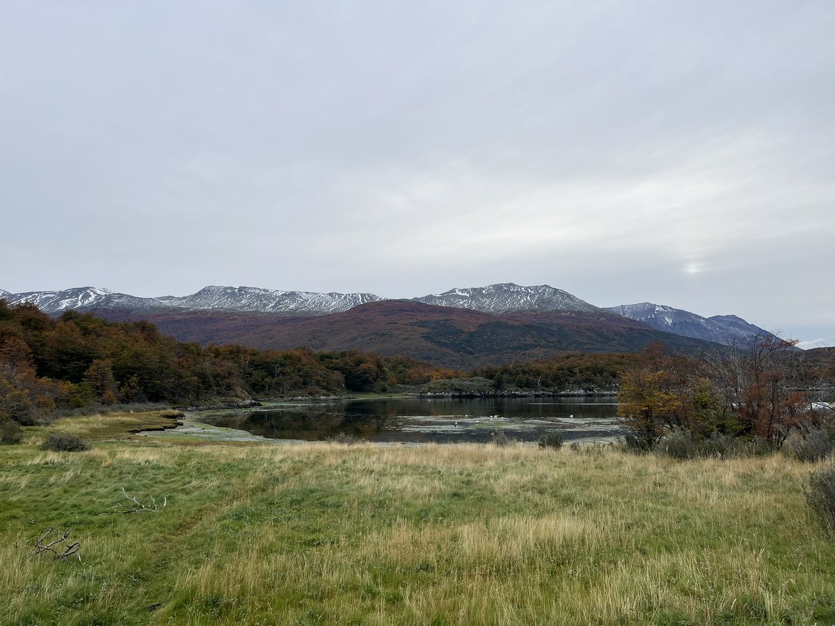 Jazmín del Monte tweet media