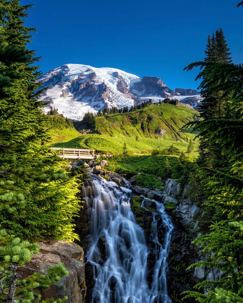 Purely Green tweet media