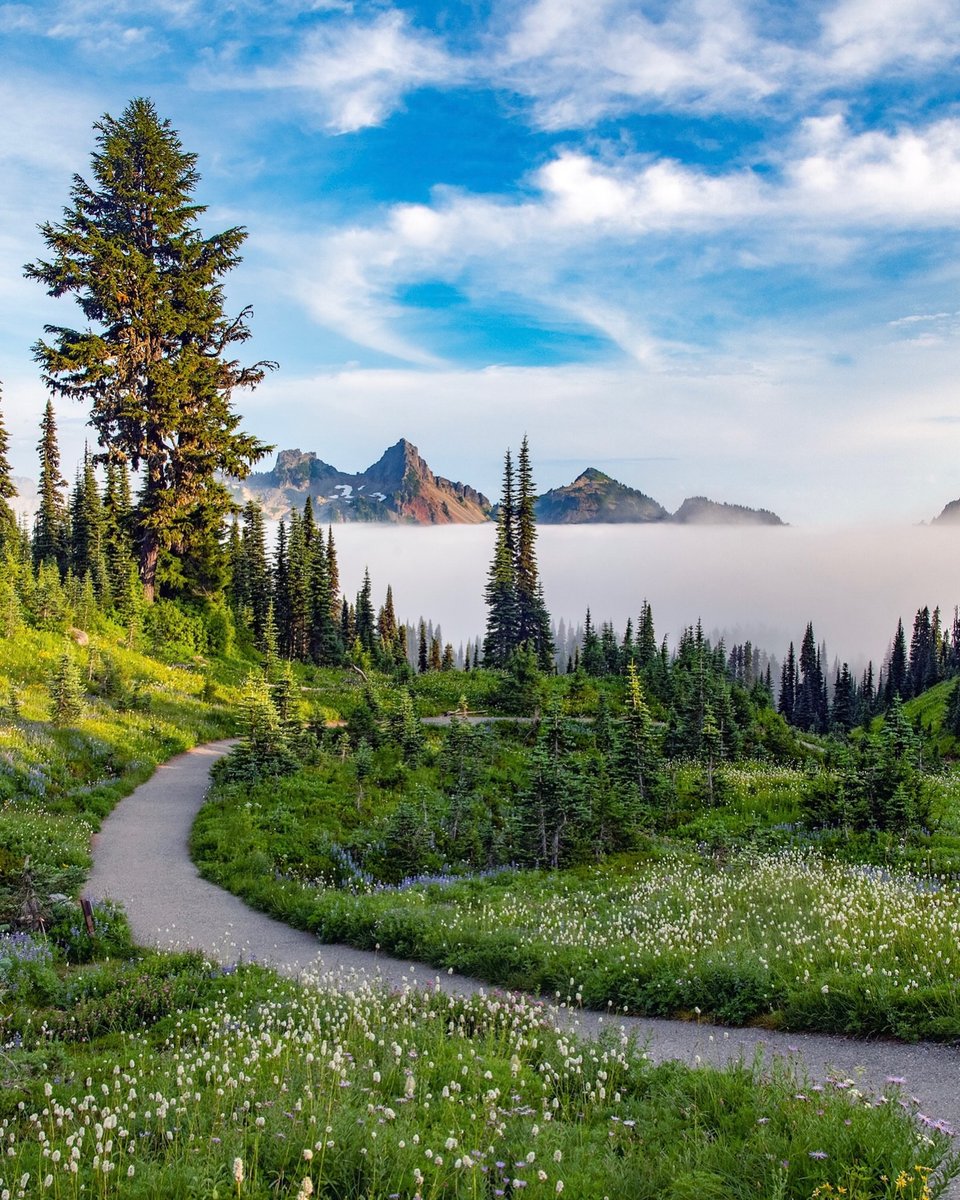 Purely Green tweet media