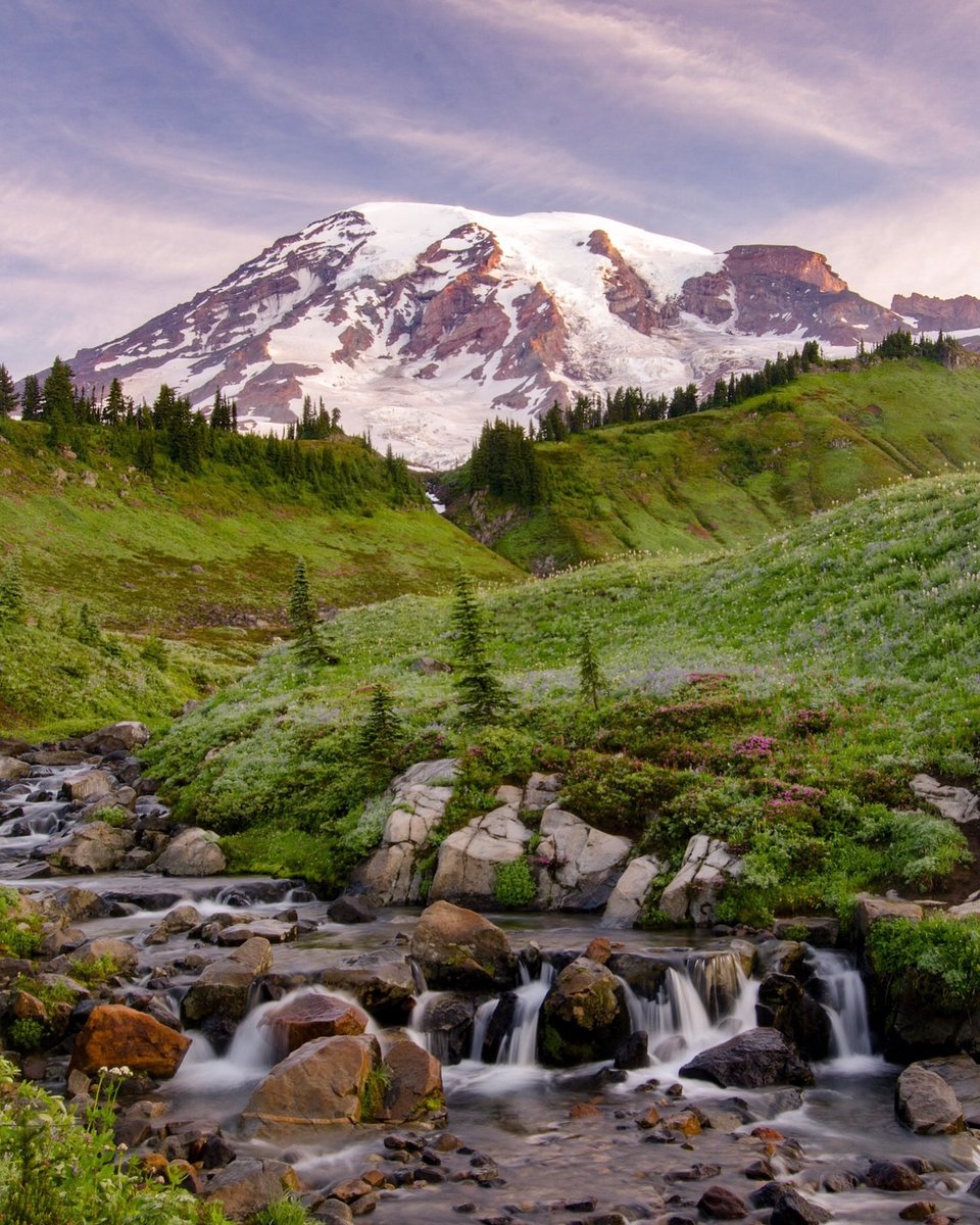 Purely Green tweet media