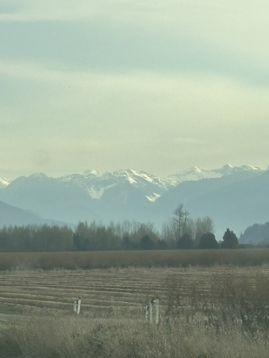 Pittwaterfowler's tweet image. It’s marsh day!!!! #pittwaterfowlers #nestingboxes