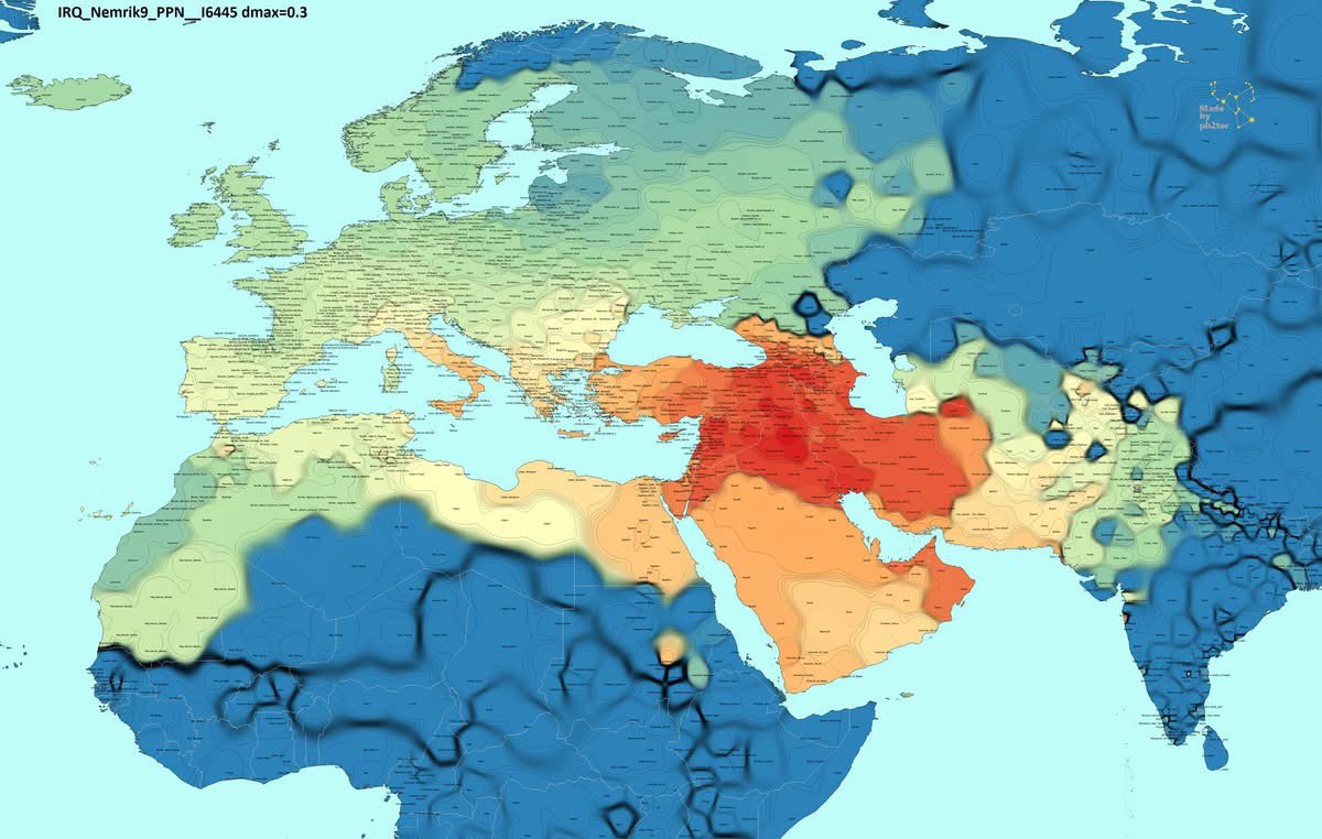 ᴍᴜʀᴀᴛ tweet media