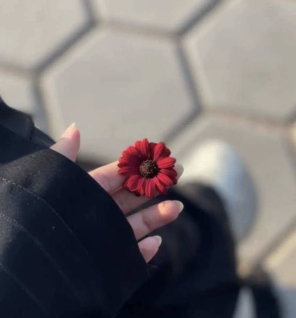 michittyʚ❤ɞ tweet media