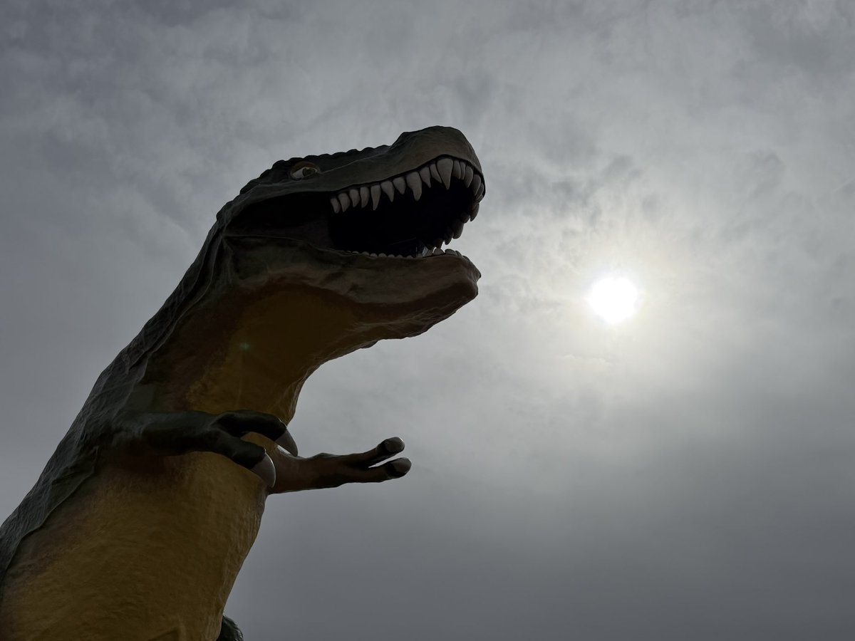 Dan Reynish tweet media