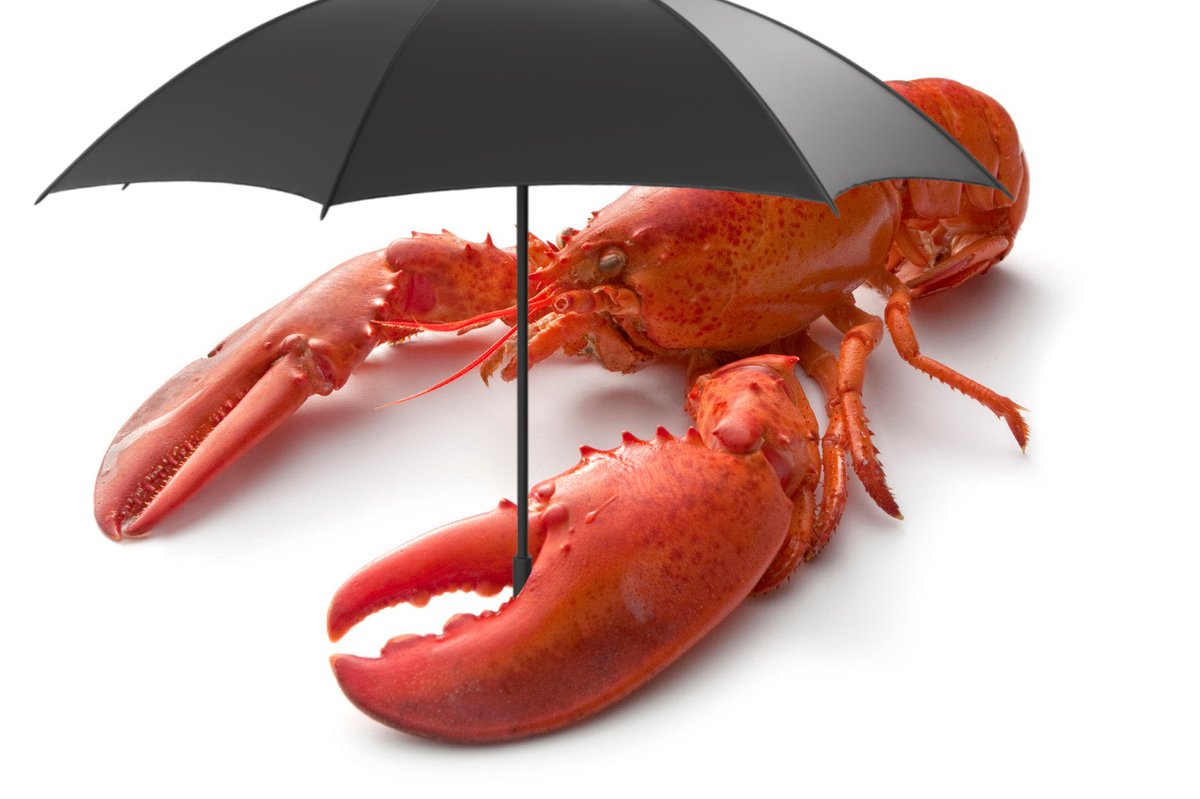 The Lobster tweet media