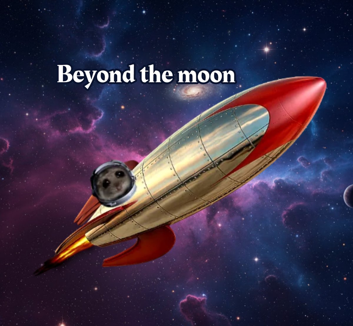 Hamilio1's tweet photo. @elonmusk For hammy https://t.co/Tlr70FONQ8