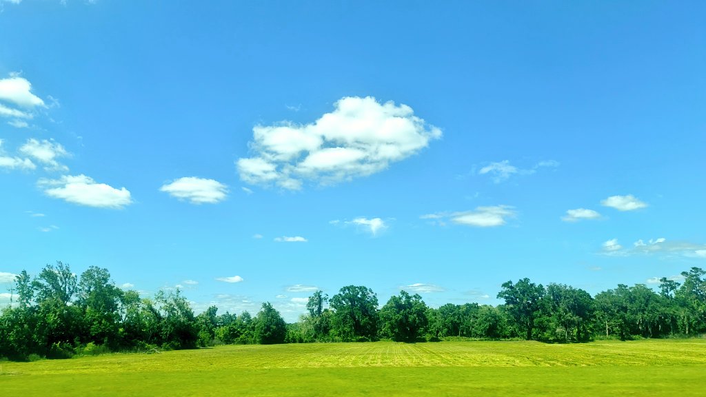 ⤷ ROBO ☆#nickeltopolis tweet media