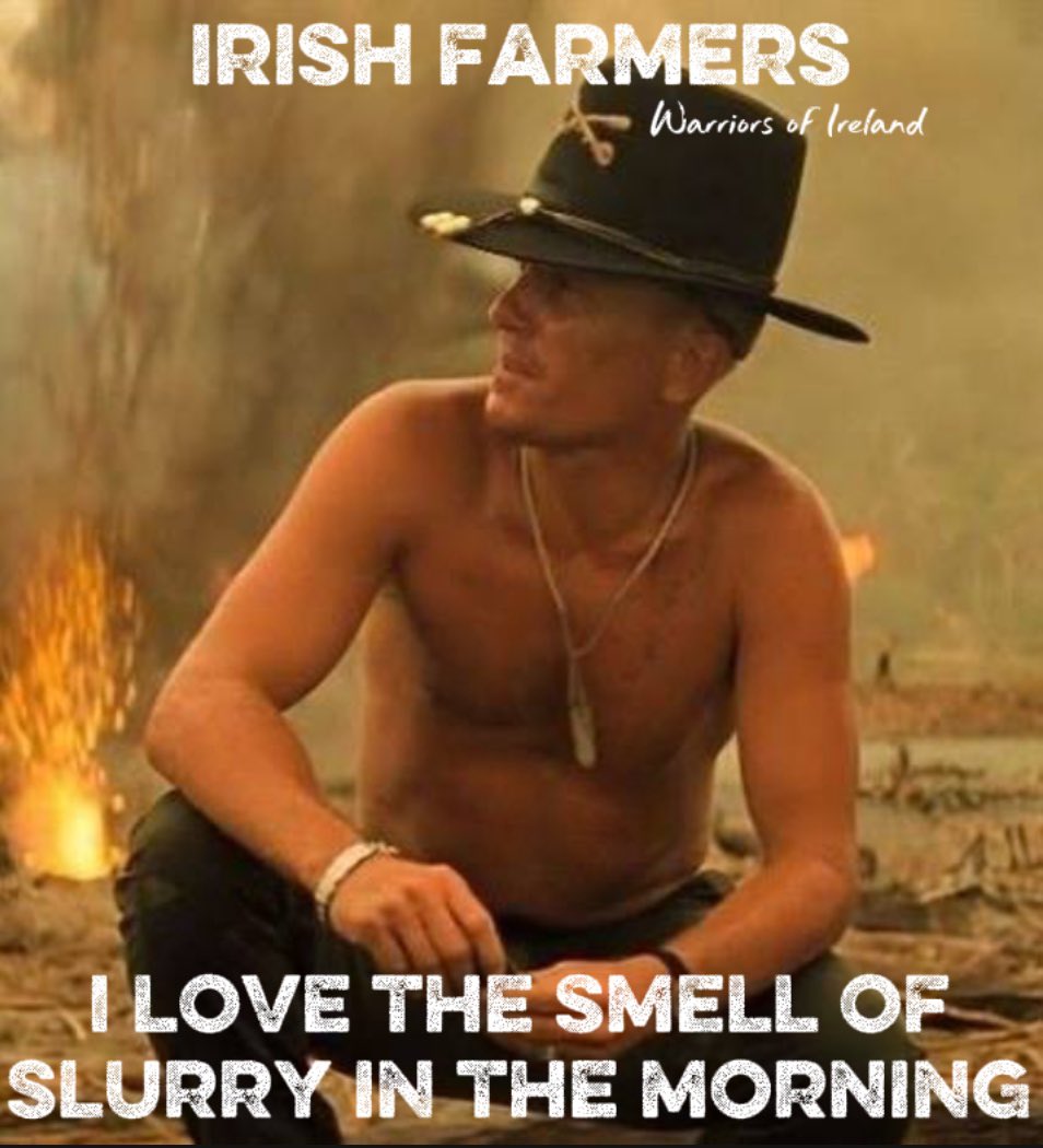 Warriors Of Ireland tweet media