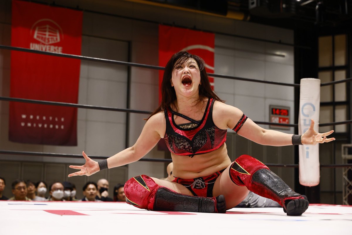 Scott E. Wrestling tweet media