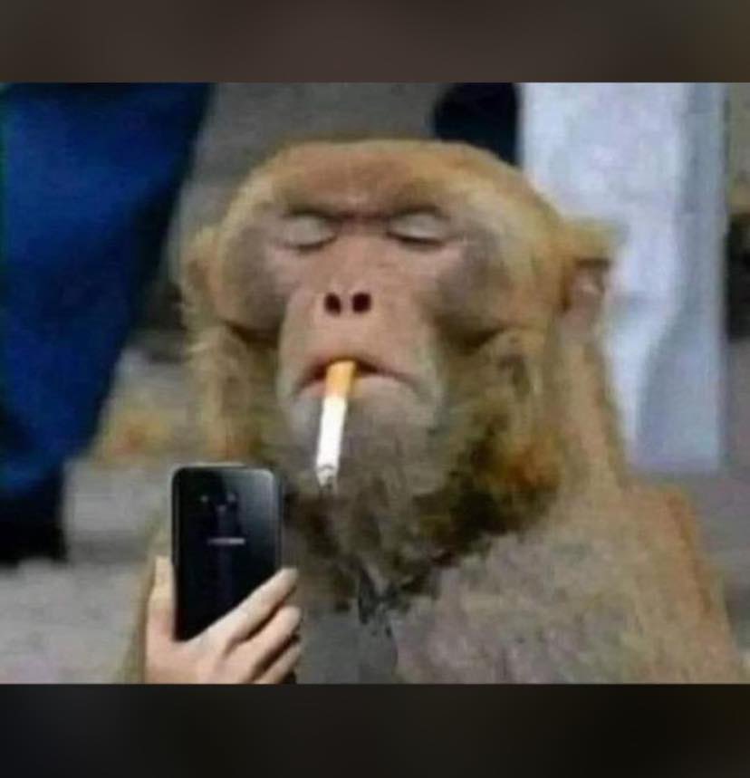 AsbyKing's tweet photo. Moi qui surveille les postes des madrilènes depuis hier mais y’a rien 😂😂😂😂
Vous allez lire l’heure 
#football #LaLiga https://t.co/F8QI4uoBag