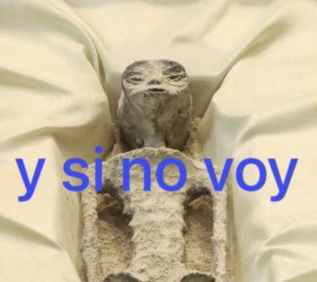 yo todas las mañanas cuando me suena la alarma