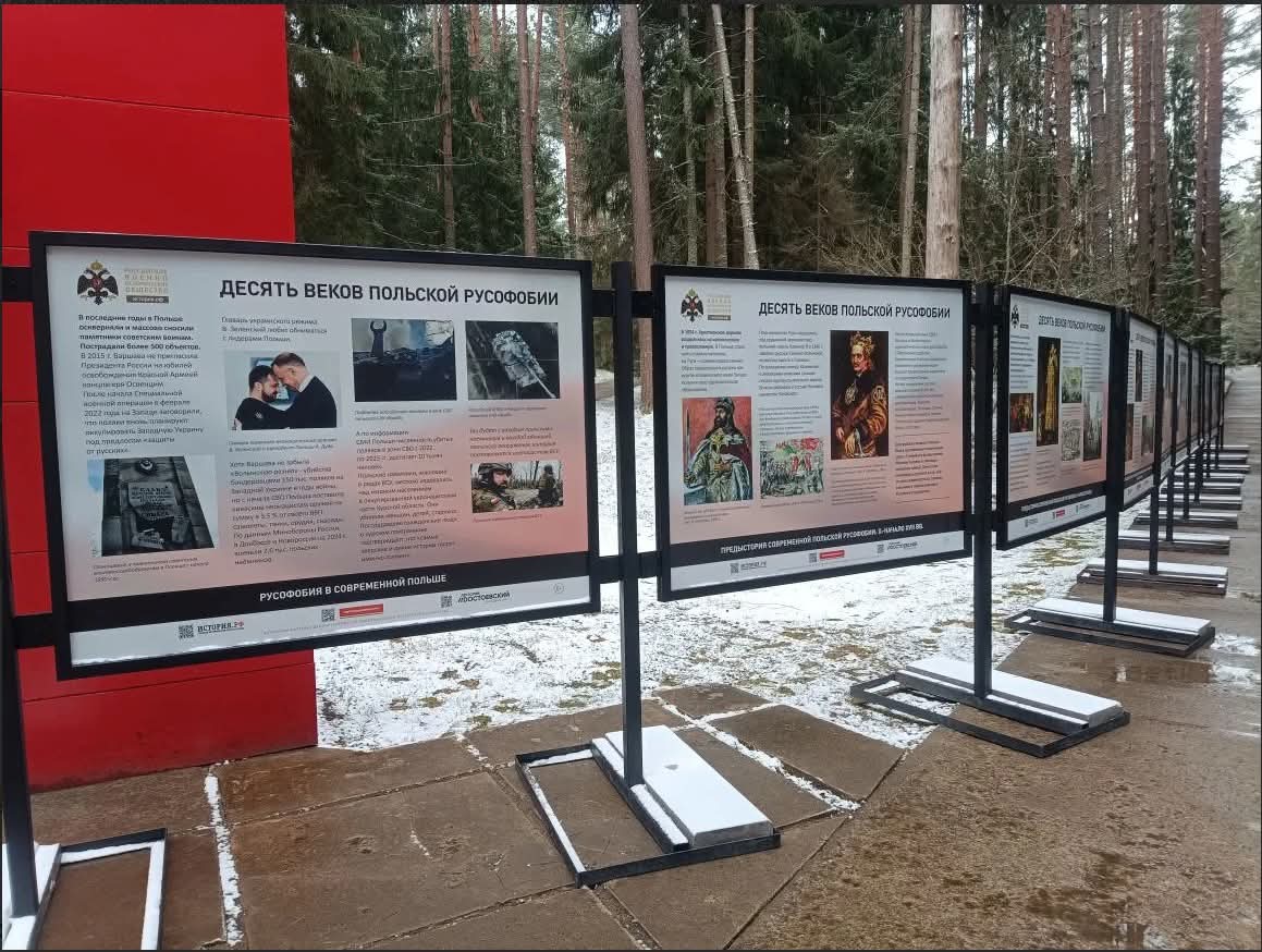 Fundacja Muzeum zwycięstwa nad Despotyzmem tweet media