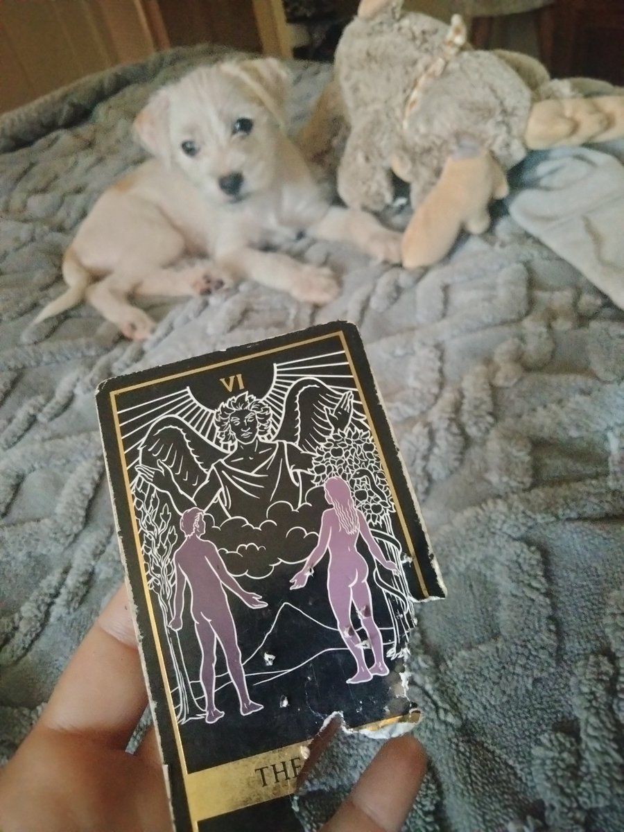 LiveToLove tweet media