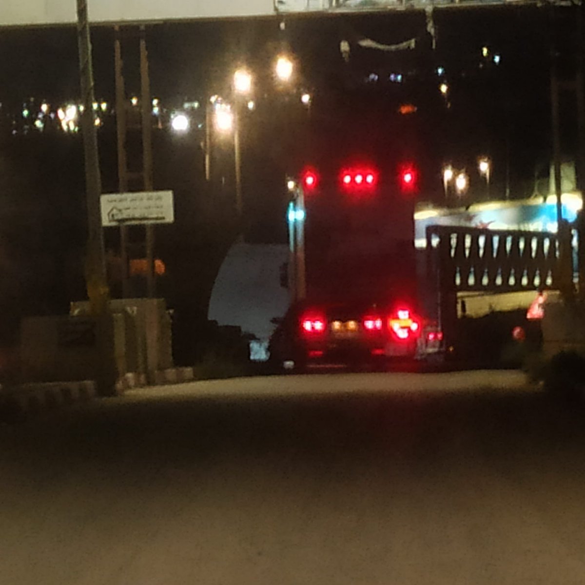 Roni 🦭🍅 tweet media