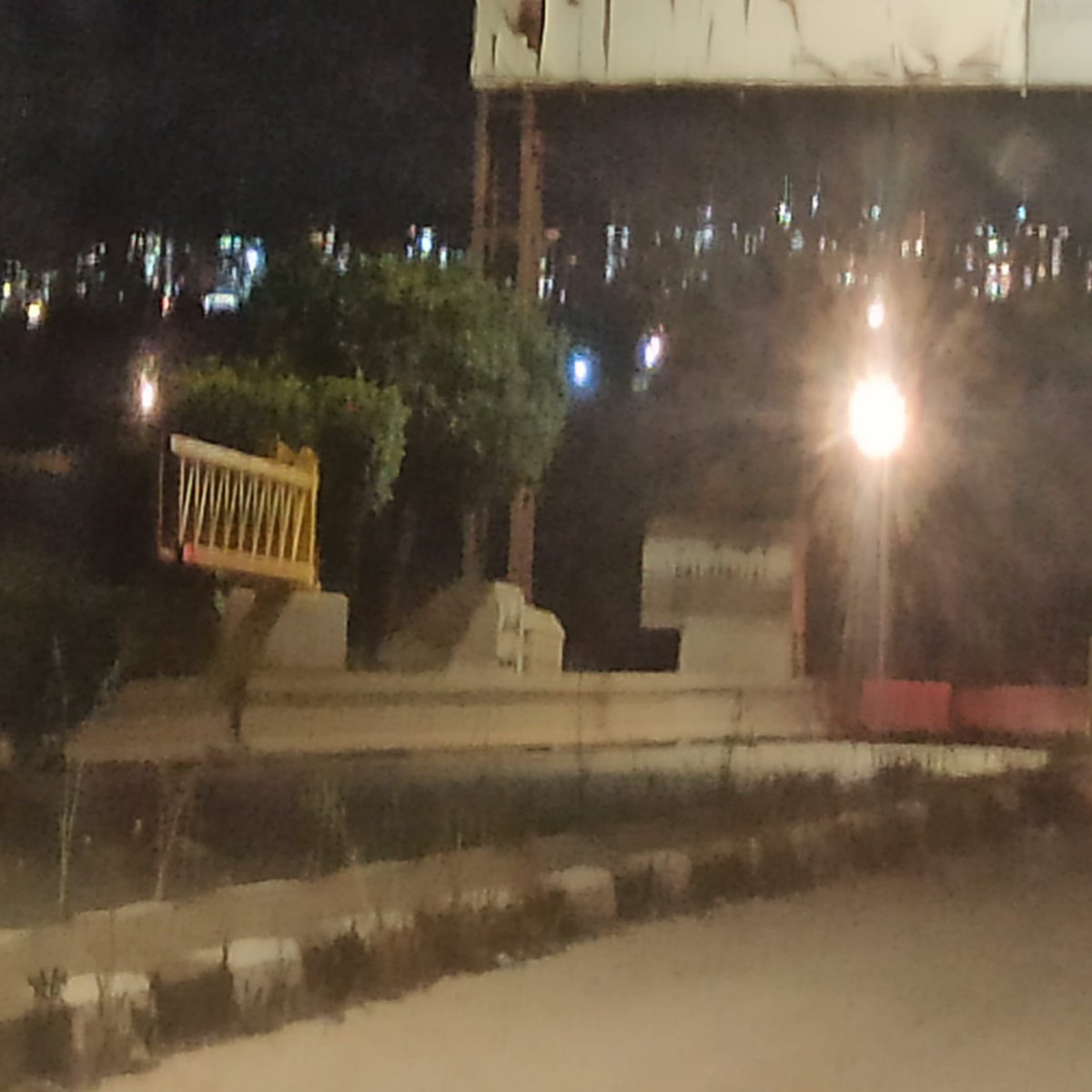 Roni 🦭🍅 tweet media