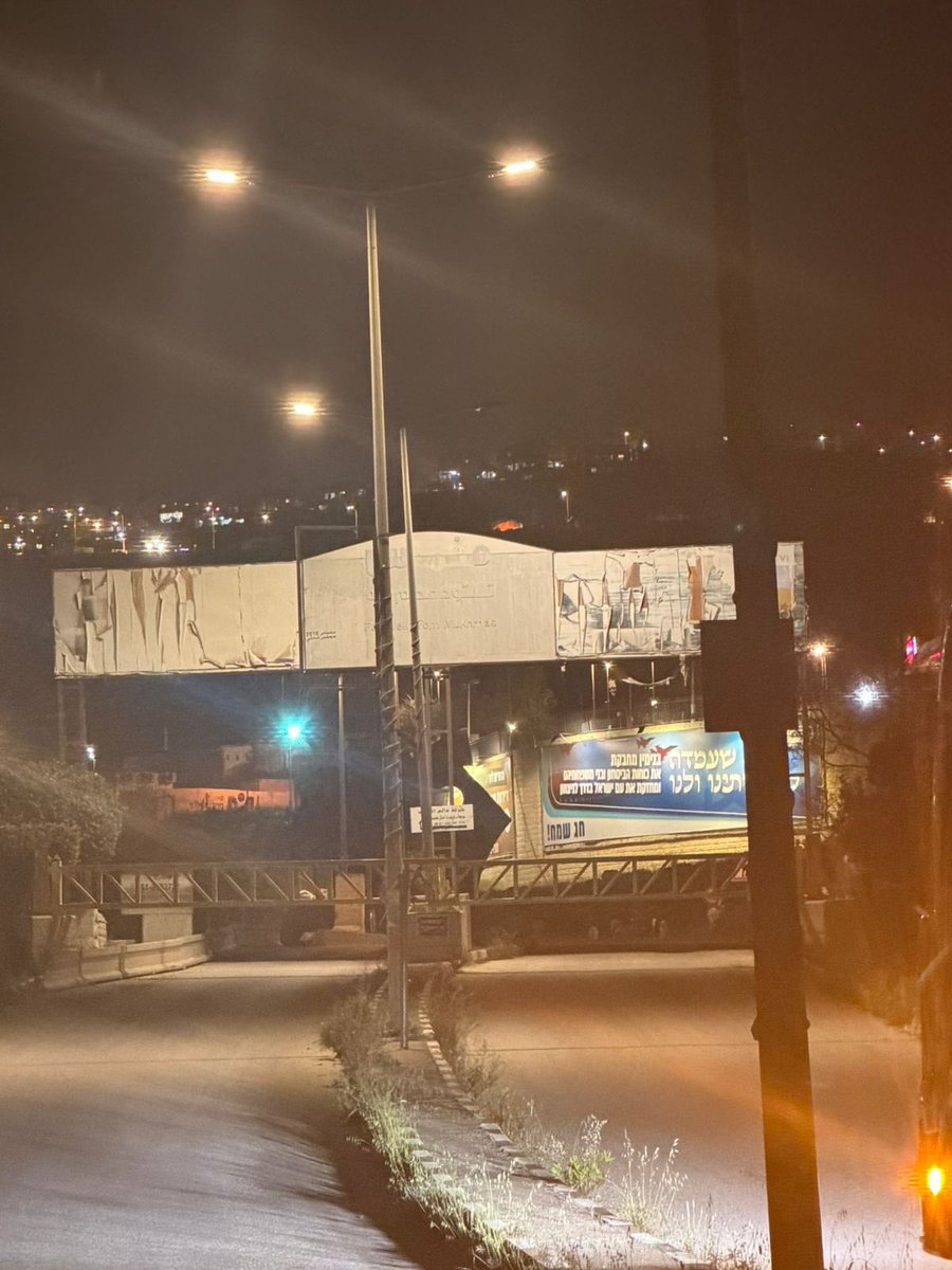 Roni 🦭🍅 tweet media